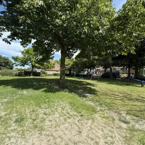 20250715_134414675_iOS_scaled